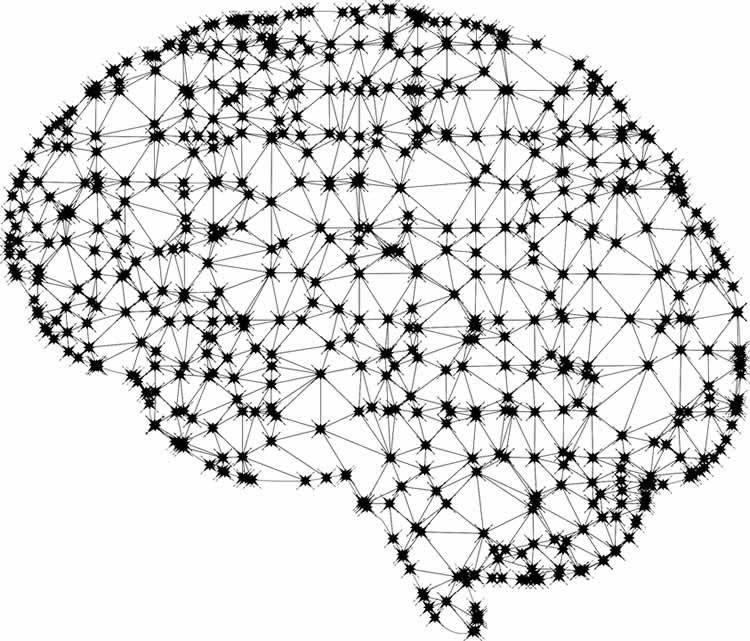 memory connections links